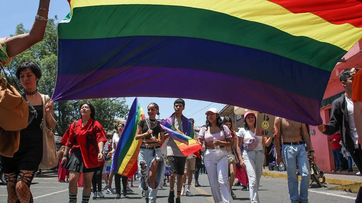 Desfile del orgullo paracho